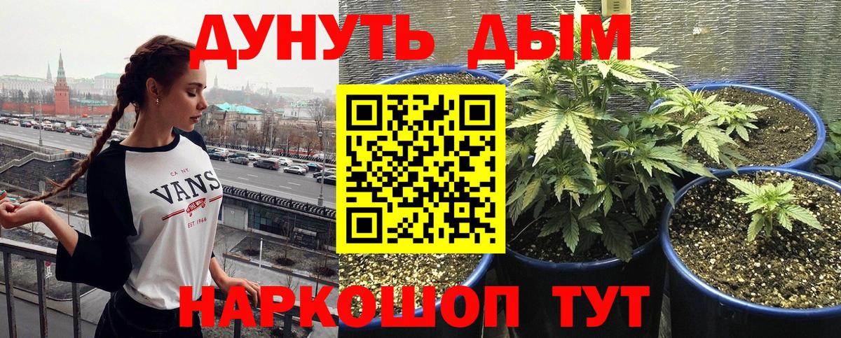 Шишки марихуана Bruce Banner  Конопля ГИДРОПОН  Холмск  Вход с VPN 